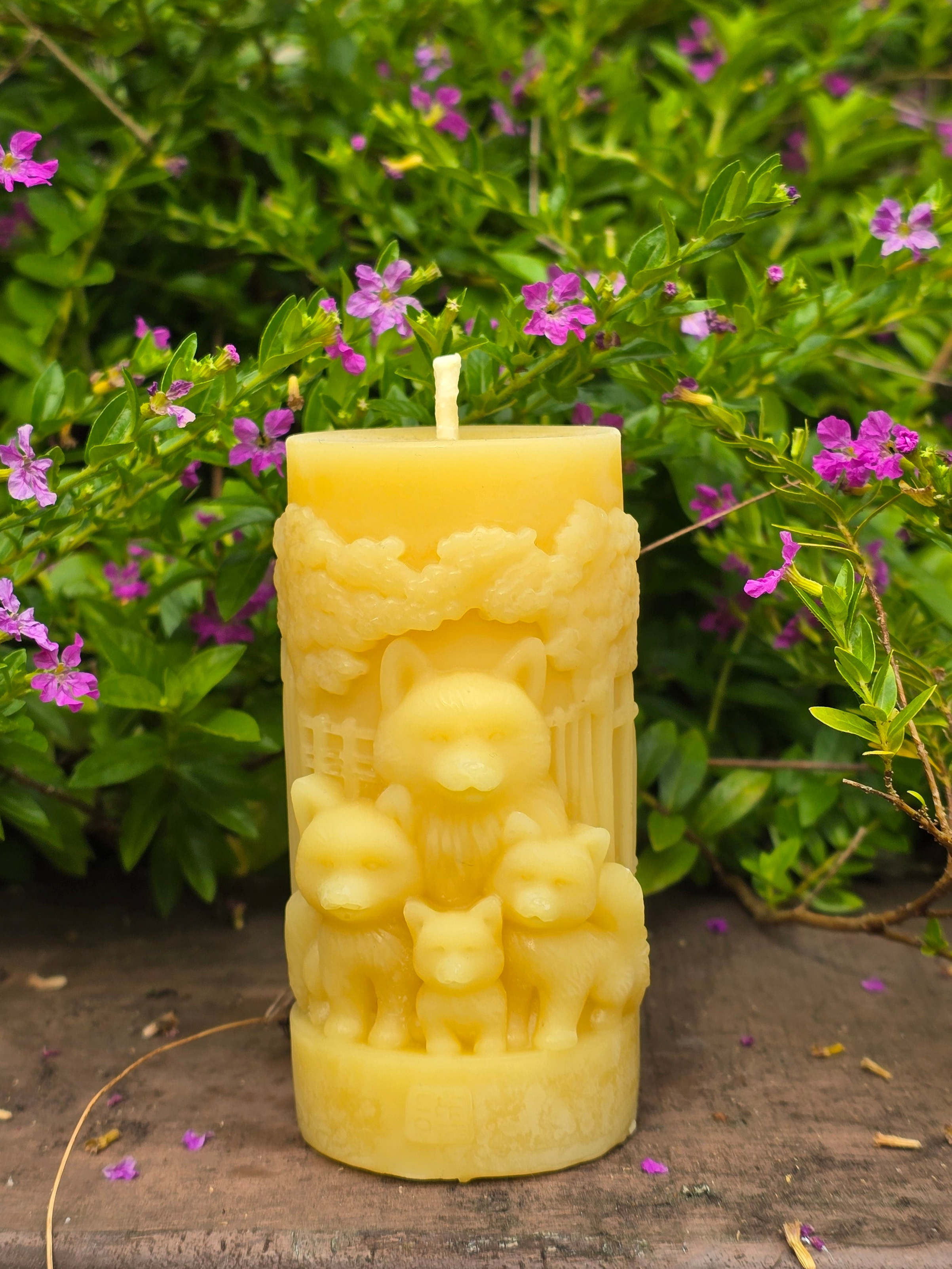 Wolves of the wild - New Zealand Beeswax Candle